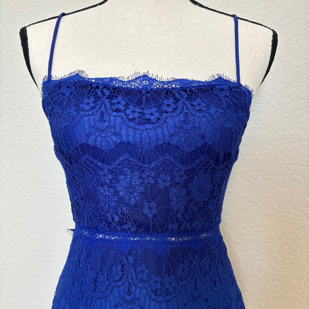 NWT Lulu's Cobalt Blue Lace Overlay Dress